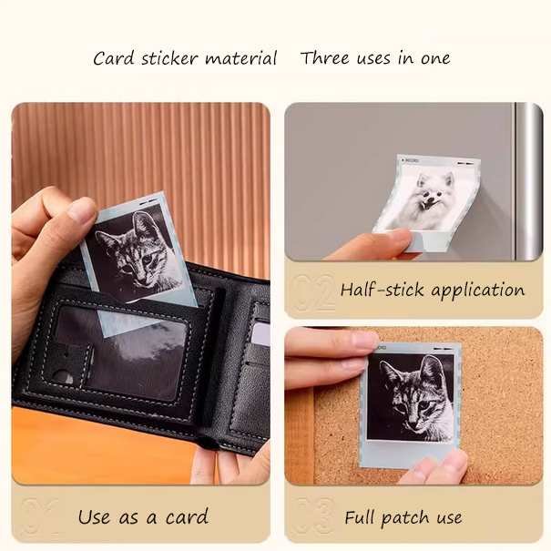 Niimbot B21Pro Image Label Mac - Commercial Photo Printer 评论和价格