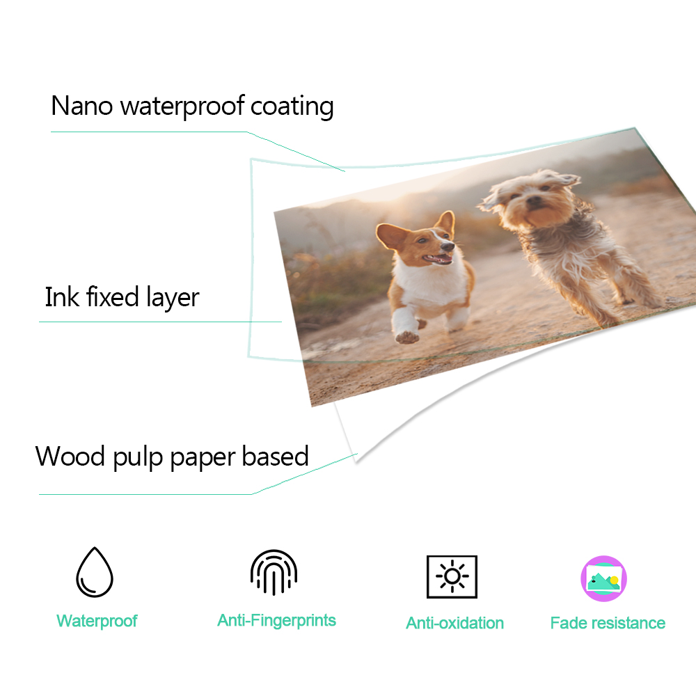 1/2/3/4/5Pcs 6 inch Ink Cartri - Commercial Photo Printer 评论和价格
